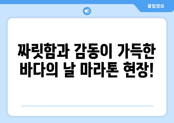 바다의 날 기념 마라톤, 푸른 바다를 향해 달리는 열정 | 바다의 날, 마라톤, 풍경, 달리기, 축제