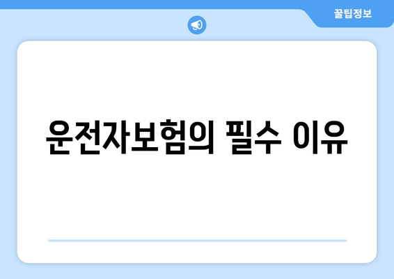 운전자보험의 필수 이유