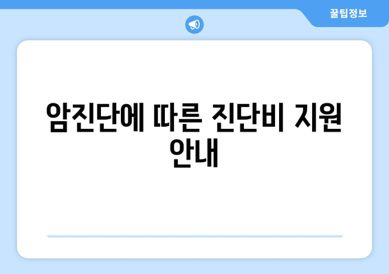 암진단에 따른 진단비 지원 안내