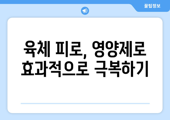 육체 피로, 영양제로 이겨내는 효과적인 방법 | 피로 회복, 영양제 추천, 건강 관리