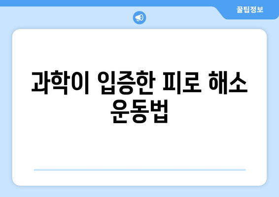 만성 피로 탈출! 과학적으로 증명된 운동 처방전 | 피로 해소, 운동 효과, 만성 피로 극복