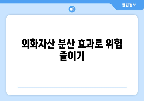 외화자산 분산 효과로 위험 줄이기