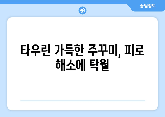 주꾸미 타우린으로 간편하게 피로 회복! 천연 에너지 충전 | 주꾸미 효능, 타우린, 피로 해소, 간편 레시피