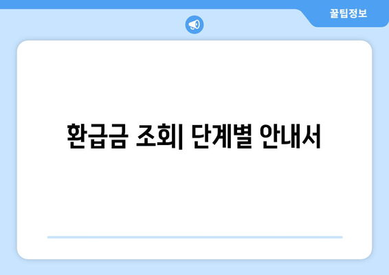 환급금 조회| 단계별 안내서