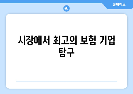 시장에서 최고의 보험 기업 탐구