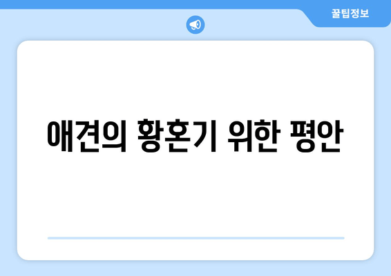 애견의 황혼기 위한 평안