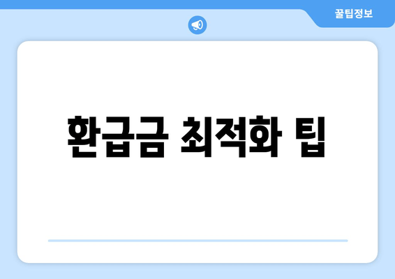 환급금 최적화 팁