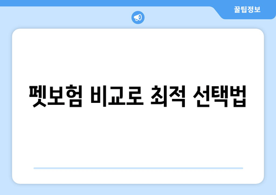 펫보험 비교로 최적 선택법