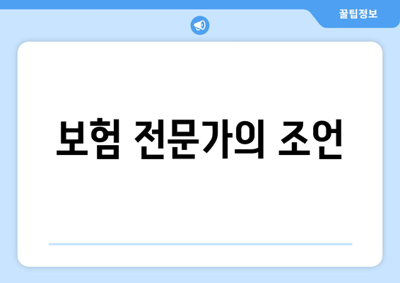 보험 전문가의 조언