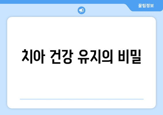 치아 건강 유지의 비밀