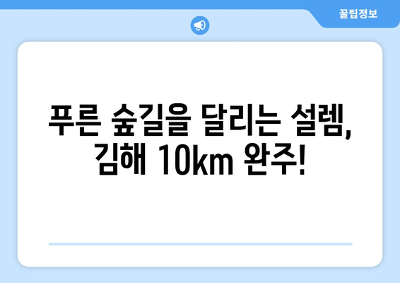 2024 김해 숲길 마라톤 10km 완주 후기| 힘들지만 아름다운 도전 | 김해, 숲길 마라톤, 10km, 완주 후기, 후기