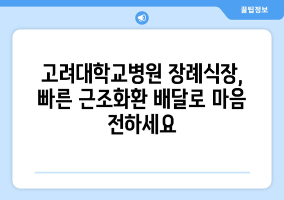 고려대학교병원 장례식장 근조화환, 급할 땐 빠르게 배달하세요! | 장례식, 조문, 빠른 배송, 근조화환 배달 서비스