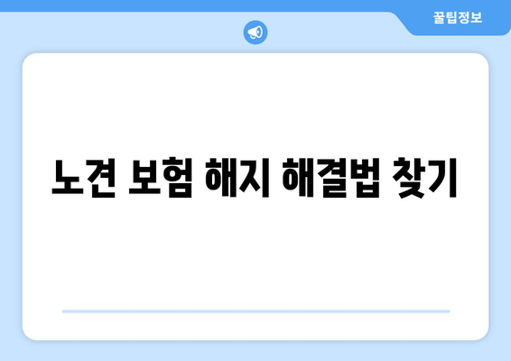 노견 보험 해지 해결법 찾기