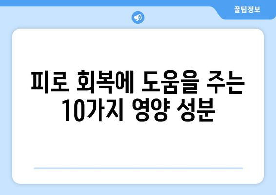 피로 회복에 효과적인 음식과 성분| 10가지 추천 & 섭취 가이드 | 피로 해소, 건강 식단, 영양 성분