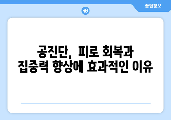 공진단 효능과 그 영향| 건강 증진을 위한 이해 | 공진단, 효능, 영향, 건강, 한방, 약재, 복용