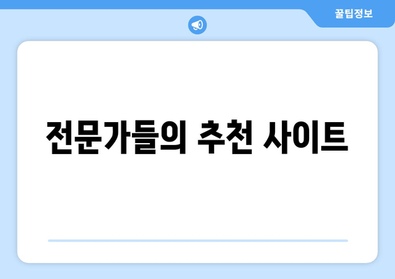 전문가들의 추천 사이트