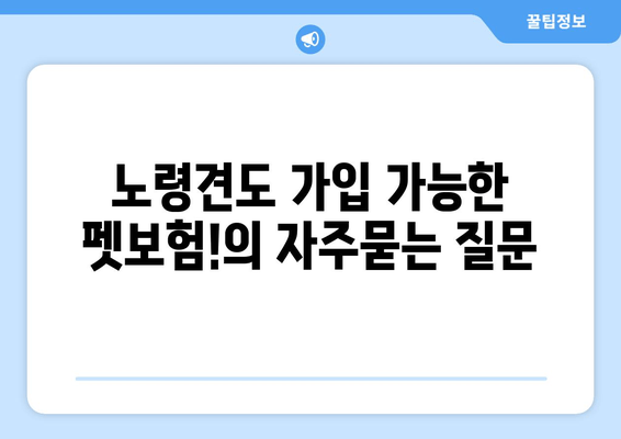 노령견도 가입 가능한 펫보험!