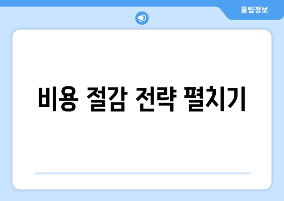 비용 절감 전략 펼치기