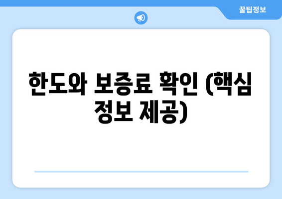 한도와 보증료 확인 (핵심 정보 제공)