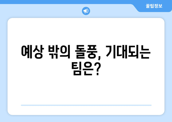 예상 밖의 돌풍, 기대되는 팀은?