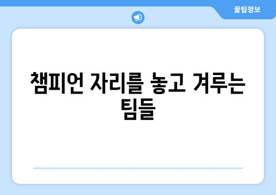 챔피언 자리를 놓고 겨루는 팀들