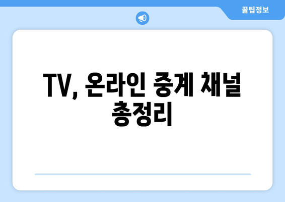 TV, 온라인 중계 채널 총정리