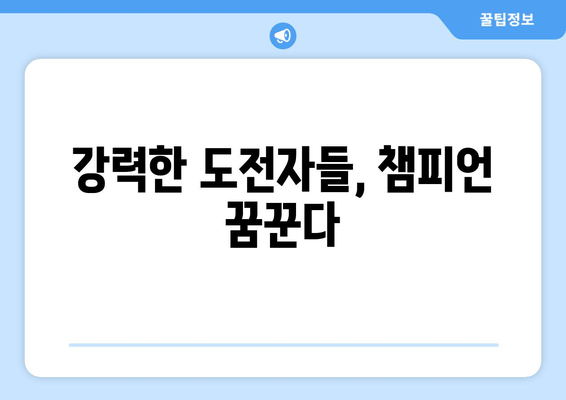 강력한 도전자들, 챔피언 꿈꾼다