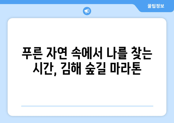 2024 김해 숲길 마라톤 10km 후기| 푸른 숲 속에서 펼친 나만의 도전 | 김해 마라톤, 10km 완주 후기, 숲길 마라톤 후기