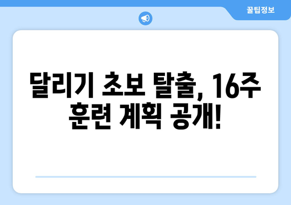 런린이의 하프 마라톤 훈련 일지| 16주 완주를 향한 땀방울 | 하프 마라톤, 훈련 계획, 러닝