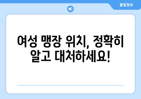 여자 맹장 위치, 이제 숨겨진 비밀을 밝혀낼 시간! | 맹장 위치, 여성, 맹장 통증