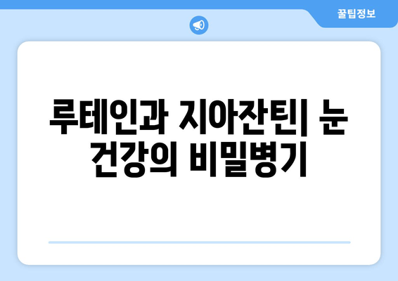 눈 건강 지키는 필수 영양소, 루테인과 지아잔틴 | 안목 건강 개선, 눈 건강 관리, 눈 건강 식품