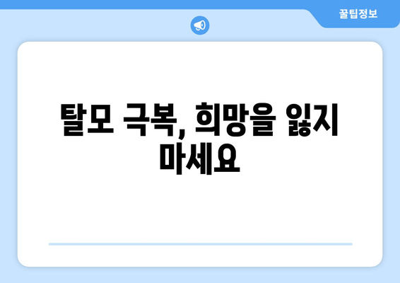 탈모 예방과 치료| 실용적인 가이드 | 탈모 원인부터 관리법까지 완벽 해설