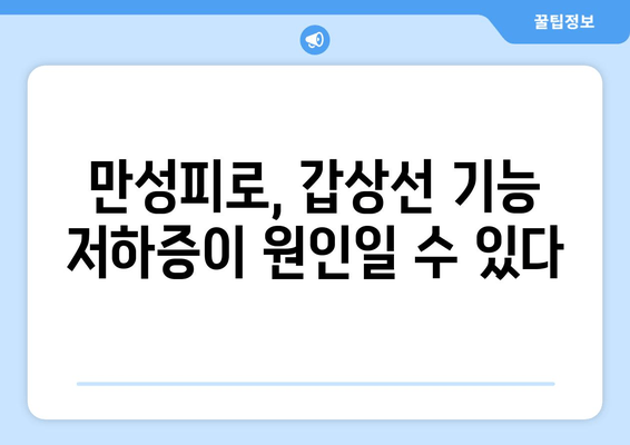 만성피로의 원인, 갑상선 기능 저하증? 진단부터 관리까지 완벽 가이드 | 갑상선, 피로, 건강