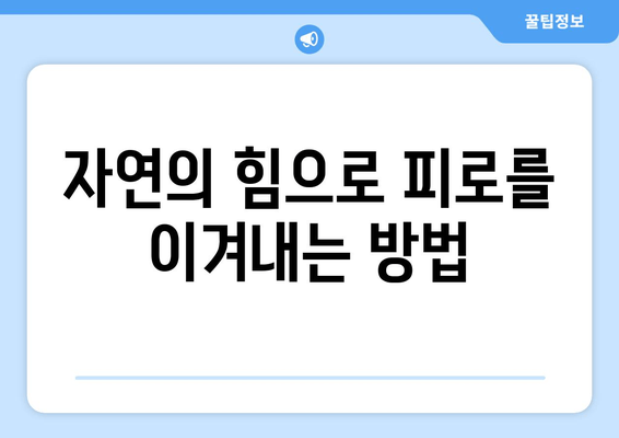 피로약 대신?  한약과 보약으로  활력 찾기 | 피로 해소, 건강 관리, 자연 치유