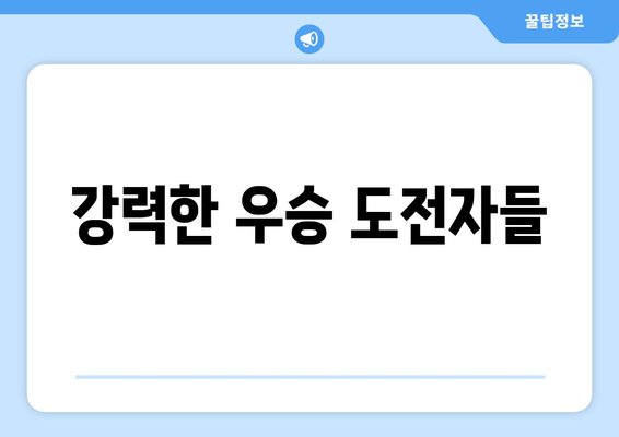 강력한 우승 도전자들