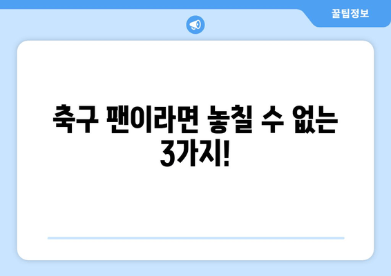 축구 팬이라면 놓칠 수 없는 3가지!