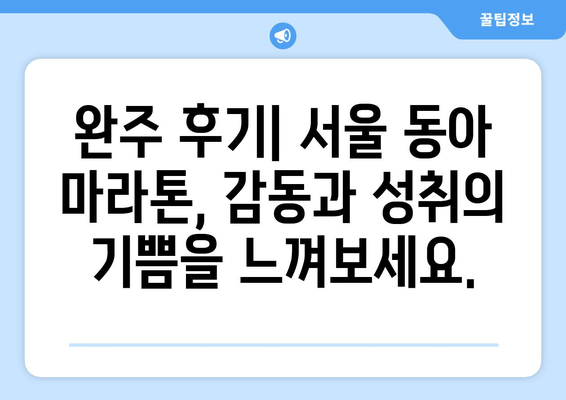 서울 동아 마라톤 2025 접수 후기| 꿀팁 대방출 | 참가 신청, 준비물, 코스 정보, 완주 후기