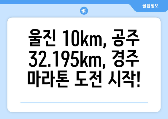 울진 10km, 공주 32.195km, 경주마라톤 접수 완료! 나의 마라톤 도전, 이제 시작 | 마라톤, 경주, 울진, 공주, 완주 후기, 러닝 팁