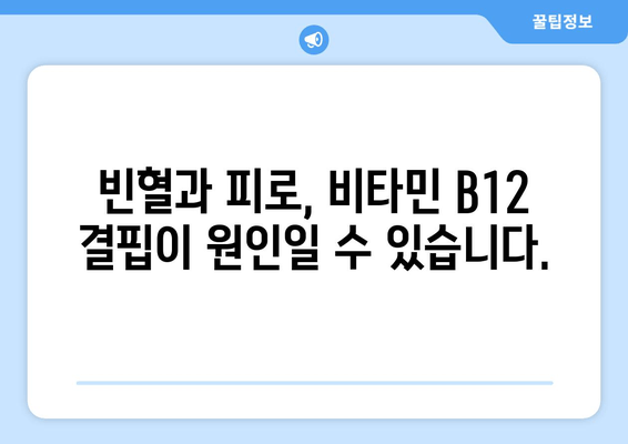 비타민 B12 결핍, 증상과 보충 방법 완벽 가이드 | 영양, 건강, 빈혈, 피로