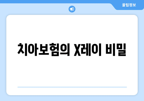 치아보험의 X레이 비밀