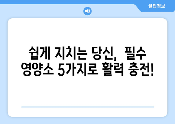 육체 피로 싹 날려줄 5가지 영양소 | 피로 회복, 체력 증진, 효과적인 영양소 섭취