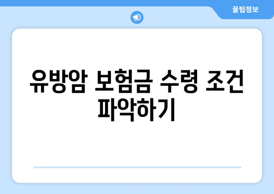 유방암 보험금 수령 조건 파악하기