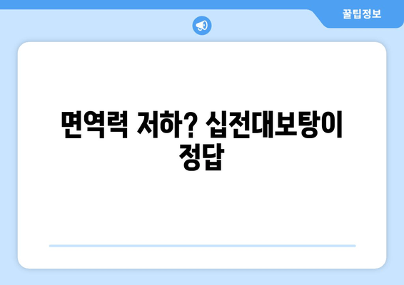 십전대보탕, 한방에서 말하는 강장 효과와 효능 | 면역력 강화, 피로 회복, 기력 증진, 한방 처방, 건강 관리