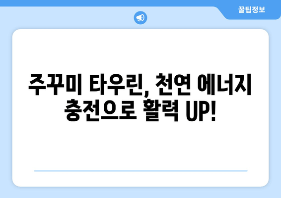 주꾸미 타우린으로 간편하게 피로 회복! 천연 에너지 충전 | 주꾸미 효능, 타우린, 피로 해소, 간편 레시피