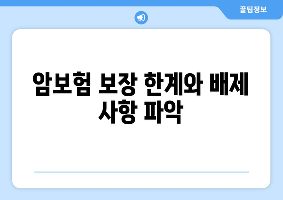 암보험 보장 한계와 배제 사항 파악