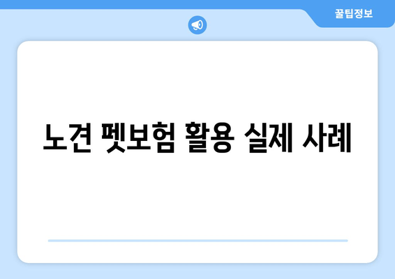 노견 펫보험 활용 실제 사례