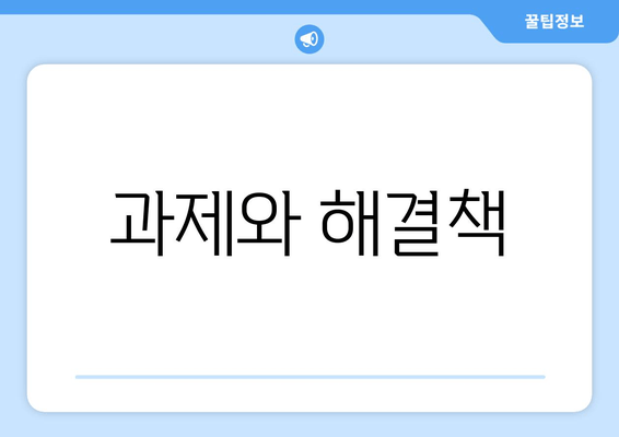 과제와 해결책