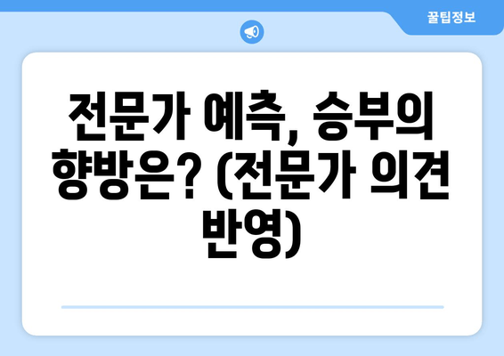 전문가 예측, 승부의 향방은? (전문가 의견 반영)