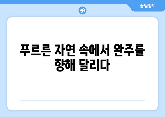 2024 김해 숲길 마라톤 10km 완주 후기| 힘들지만 뿌듯했던 도전 | 김해 숲길 마라톤, 10km 완주, 후기, 팁