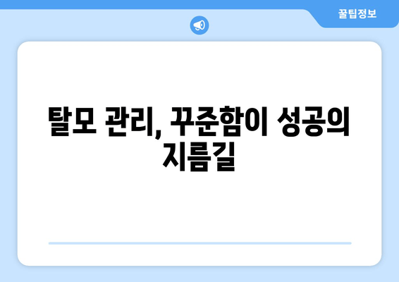 탈모 예방과 치료| 실용적인 가이드 | 탈모 원인부터 관리법까지 완벽 해설